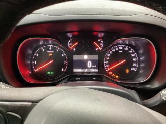 Opel Combo Combo Cargo, Van, 2018 1.2 110 picture 13