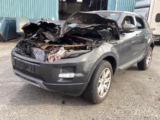 Vrakbiler auto Land Rover Range Rover Evoque Range Rover Evoque (LVJ/LVS), SUV, 2011 / 2019 2.2 eD4 16V 5-drs. 2013/4