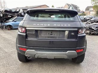 Land Rover Range Rover Evoque Range Rover Evoque (LVJ/LVS), SUV, 2011 / 2019 2.2 eD4 16V 5-drs. picture 6