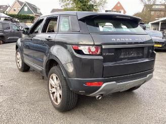 Land Rover Range Rover Evoque Range Rover Evoque (LVJ/LVS), SUV, 2011 / 2019 2.2 eD4 16V 5-drs. picture 7