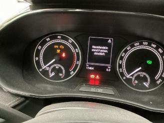 Skoda Fabia Fabia IV (PJ3), Hatchback 5-drs, 2021 1.0 TSI 12V picture 11