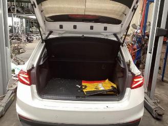 Skoda Fabia Fabia IV (PJ3), Hatchback 5-drs, 2021 1.0 TSI 12V picture 15