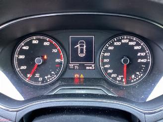 Seat Ibiza 1.0 TSI FR Business Intense picture 12