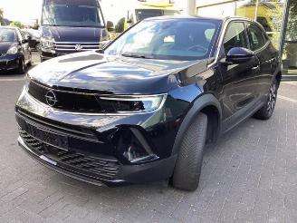 Autoverwertung Opel Mokka Mokka, SUV, 2020 Mokka-e, Electric 50 kWh 2024/1