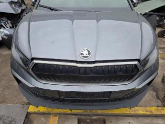 Skoda Enyaq Enyaq iV, SUV, 2021 80 picture 8