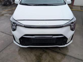 Uttjänta bilar auto Kia Picanto Picanto (JA), Hatchback, 2017 1.0 DPI 12V 2025/10