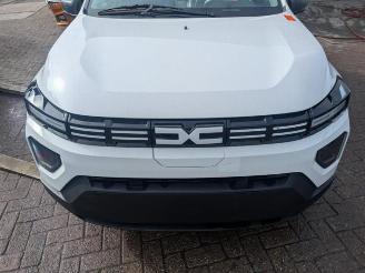 Dezmembrări autoturisme Dacia Spring Spring, Hatchback, 2020 45 2024/9