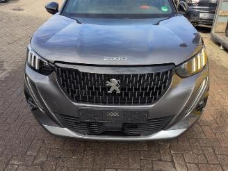 Peugeot 2008 2008 (UD/UK/UR/US/UX), MPV, 2019 1.2 VTi 12V PureTech 130 picture 2