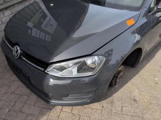 Volkswagen Golf Golf VII (AUA), Hatchback, 2012 / 2021 1.2 TSI 16V picture 2