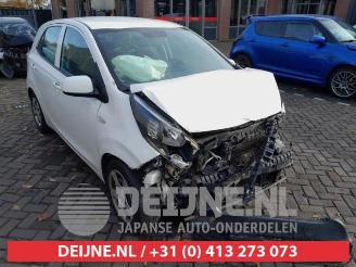 Salvage car Kia Picanto Picanto (JA), Hatchback, 2017 1.0 12V 2017/5