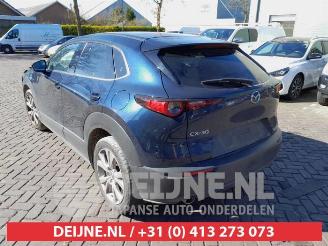 Mazda CX-30 CX-30 (DM), SUV, 2019 2.0 e-SkyActiv-G 122 16V picture 5