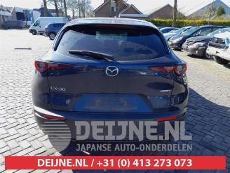 Mazda CX-30 CX-30 (DM), SUV, 2019 2.0 e-SkyActiv-G 122 16V picture 6