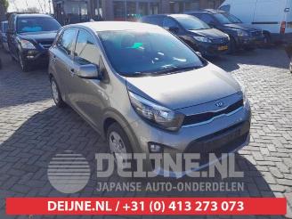 Coche siniestrado Kia Picanto Picanto (JA), Hatchback, 2017 1.0 12V 2020/2