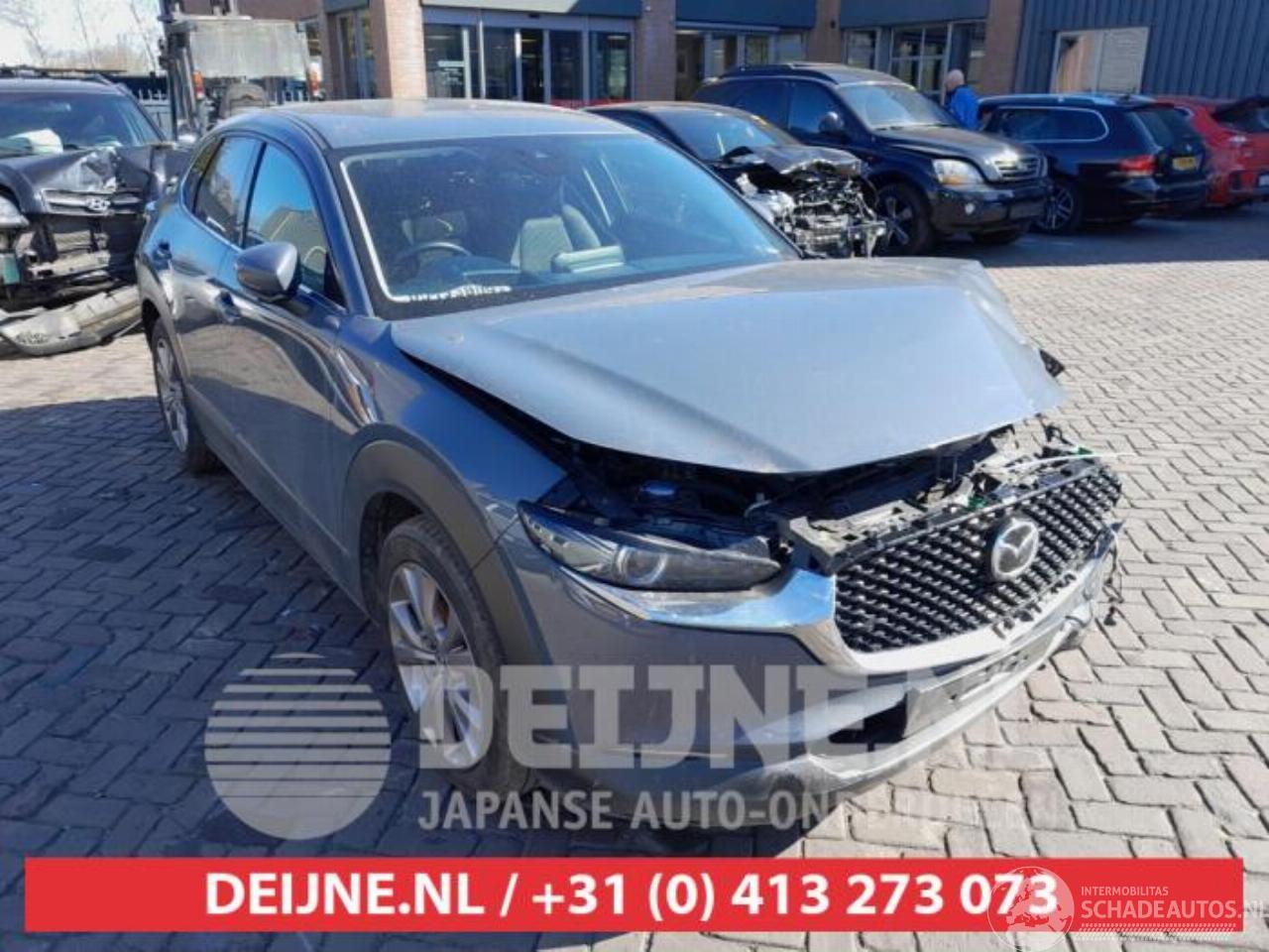 Mazda CX-30 CX-30 (DM), SUV, 2019 2.0 e-SkyActiv-G 122 16V
