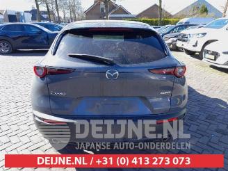Mazda CX-30 CX-30 (DM), SUV, 2019 2.0 e-SkyActiv-G 122 16V picture 6