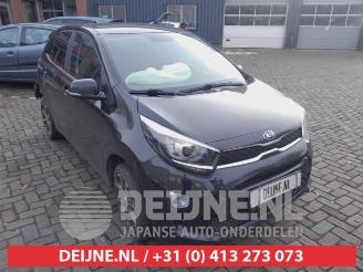 Autoverwertung Kia Picanto Picanto (JA), Hatchback, 2017 1.0 12V 2018/1