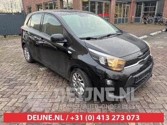  Kia Picanto Picanto (JA), Hatchback, 2017 1.0 12V 2019/2