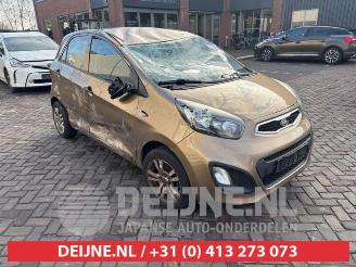 Vrakbiler auto Kia Picanto Picanto (TA), Hatchback, 2011 / 2017 1.0 12V 2011/6