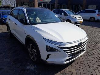 Vaurioauto  passenger cars Hyundai Nexo  2020/1