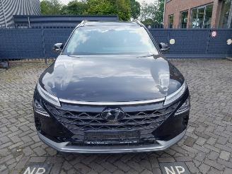 Hyundai Nexo  picture 2