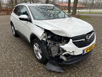 Opel Grandland 1.2 Turbo Business + picture 6