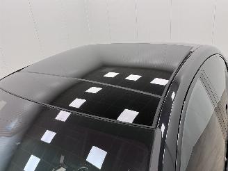 Porsche Panamera Turbo S E-Hybrid Panoramadak picture 7