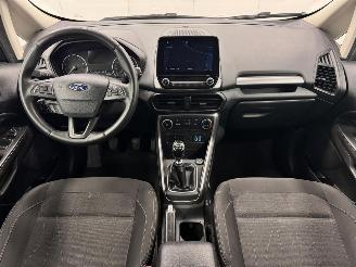 Ford EcoSport 1.0 EcoBoost Trend Navi Clima picture 9