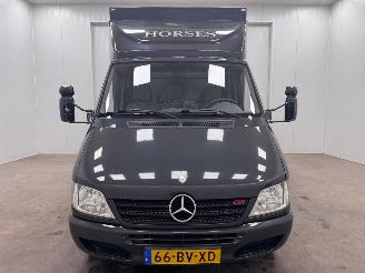 Mercedes Sprinter 311 CDI Horsetruck picture 7