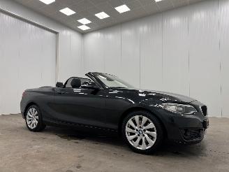  BMW 2-serie Cabrio 220d Autom. M-sport Navi Clima 2015/4