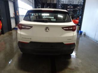 Opel Grandland 1.2 TURBO picture 3