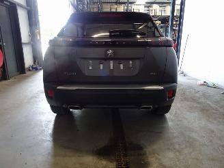 Peugeot 2008 1.2 THP picture 2