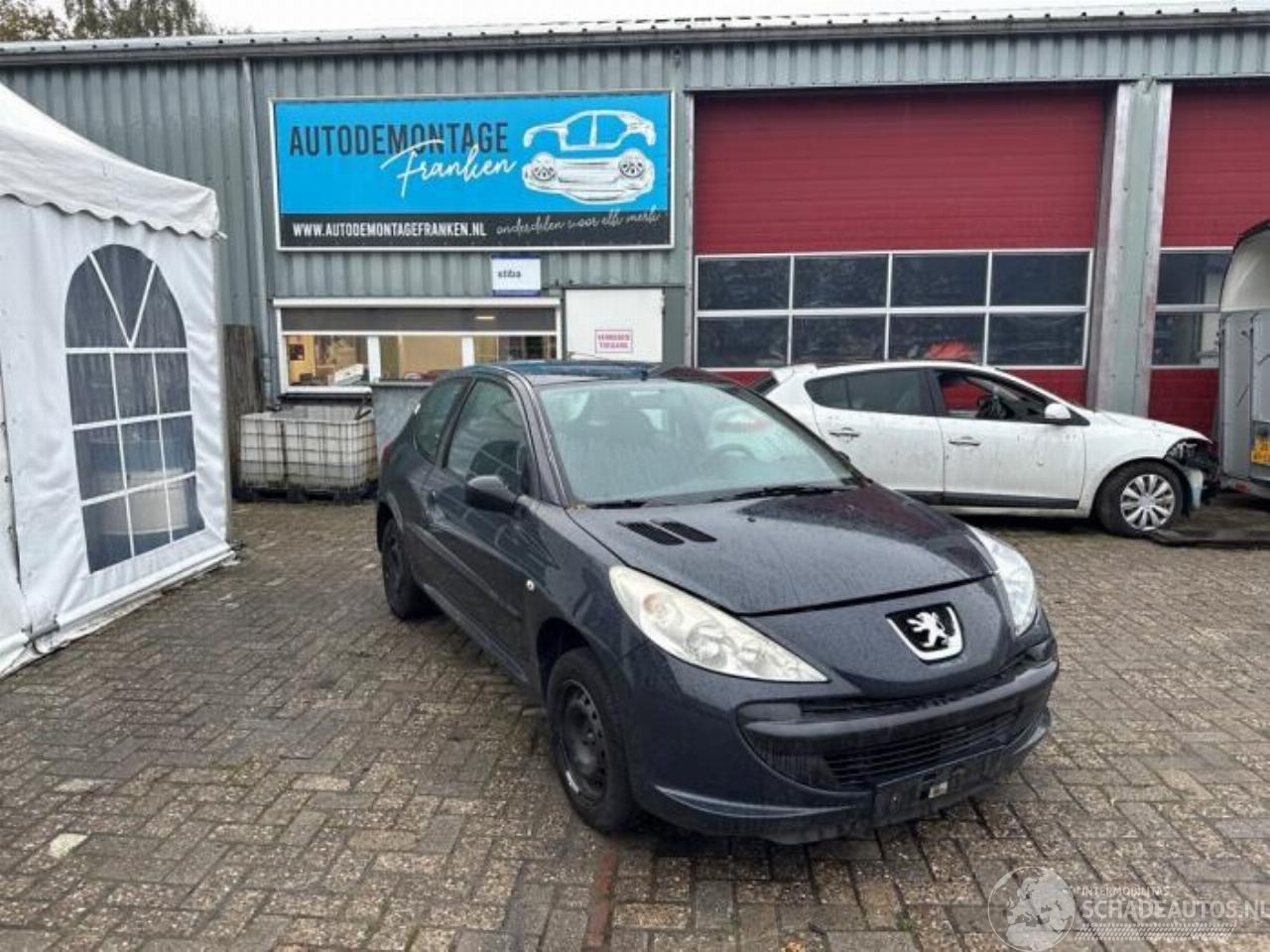 Peugeot 206 206+ (2L/M), Hatchback, 2009 / 2013 1.1 XR,XS