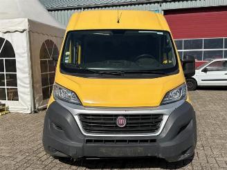 Fiat Ducato Ducato (250), Bus, 2006 2.0 D 115 Multijet picture 2