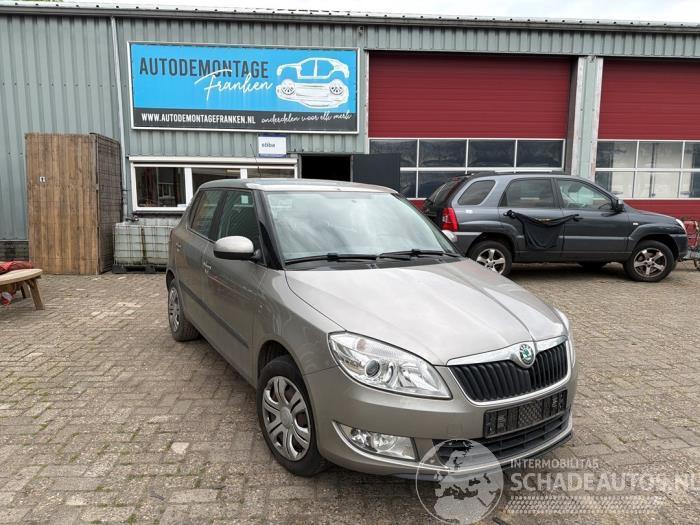 Skoda Fabia Fabia II (5J), Hatchback 5-drs, 2006 / 2014 1.2 TSI