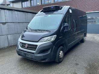 dommages camions /poids lourds Ford  Ducato 2.3 2.3 130 Koelwagen 2019/2