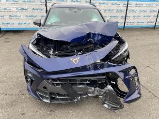 Seat Terra CUPRA Terramar 1.5 e-Hybrid 150kW picture 8