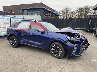 Seat Terra CUPRA Terramar 1.5 e-Hybrid 150kW picture 3