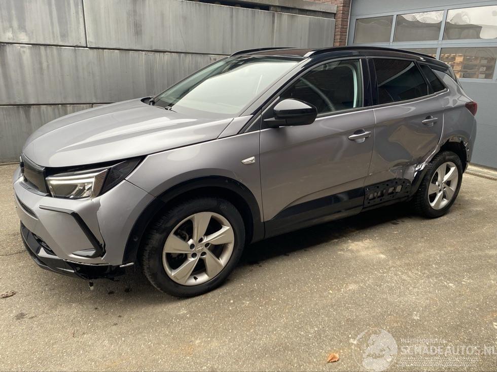 Opel Grandland X 1.2 Turbo (96kW) GS Line | Motor OK | Deutsche Brief