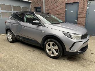 Opel Grandland X 1.2 Turbo (96kW) GS Line | Motor OK | Deutsche Brief picture 2