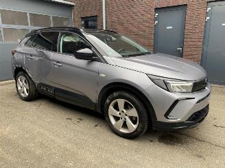 Opel Grandland X 1.2 Turbo (96kW) GS Line picture 2