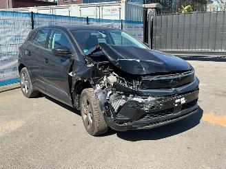 Opel Grandland (X) 1.2 Turbo (96kW) GS picture 2