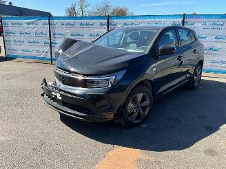 skadebil auto Opel Grandland (X) 1.2 Turbo (96kW) GS 2024/1
