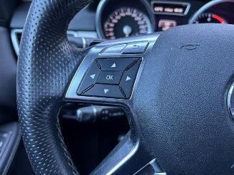 Mercedes M-klasse 250 BlueTEC AMG Panoramadak picture 16