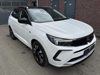 Opel Grandland X Ultimate Plug-in-Hybrid picture 2