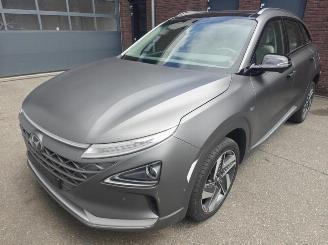 Auto incidentate Hyundai Nexo (120kW) | Storing brandstofcel 2019/12