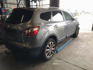 Nissan Qashqai+2 Qashqai +2 (JJ10E), SUV, 2007 / 2014 2.0 16V picture 8