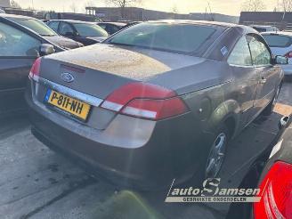 Ford Focus Focus 2 C+C, Cabrio, 2006 / 2010 1.6 16V picture 3