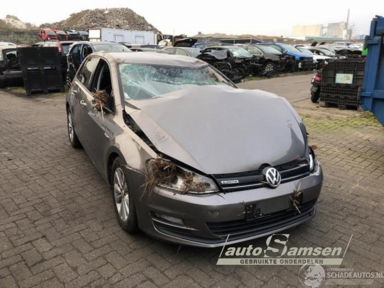 Volkswagen Golf Golf VII (AUA), Hatchback, 2012 / 2021 1.0 TSI 12V BlueMotion