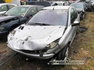 disassembly passenger cars Peugeot 206 206 (2A/C/H/J/S), Hatchback, 1998 / 2012 1.4 XR,XS,XT,Gentry 2001/8