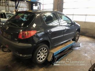  Peugeot 206 206 (2A/C/H/J/S), Hatchback, 1998 / 2012 1.4 XR,XS,XT,Gentry 2003/6
